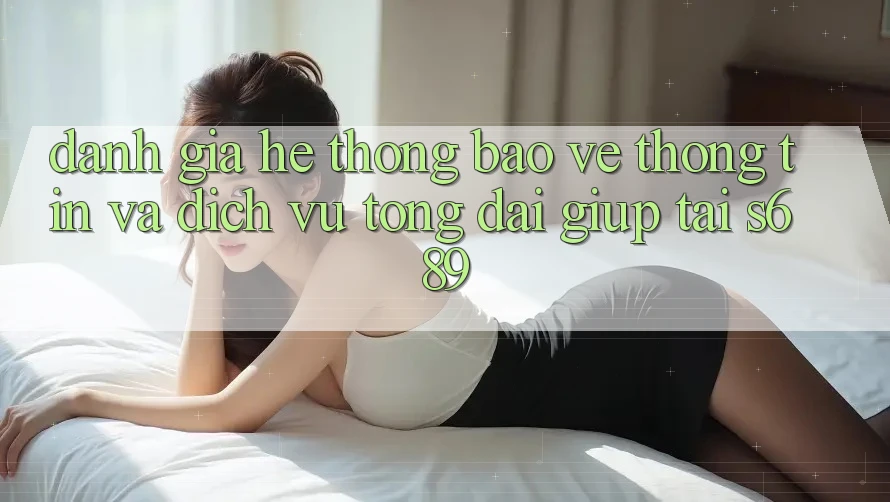 Đánh Giá Hệ Thống Bảo vệ thông tin Và Dịch Vụ Tổng đài giúp Tại s689