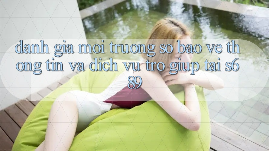 Đánh Giá Môi trường số Bảo vệ thông tin Và Dịch Vụ Trợ giúp Tại s689