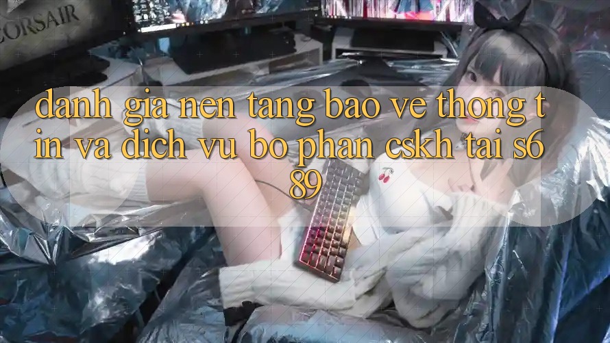 Đánh Giá Nền tảng Bảo vệ thông tin Và Dịch Vụ Bộ phận CSKH Tại s689