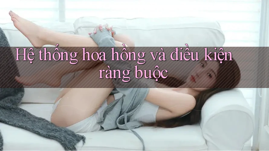 Hệ thống hoa hồng và điều kiện ràng buộc