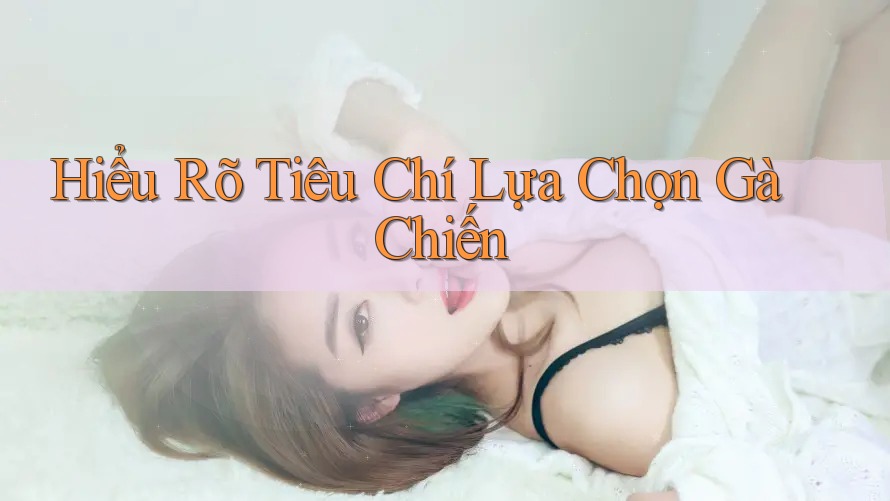 Hiểu Rõ Tiêu Chí Lựa Chọn Gà Chiến Hiểu Rõ Tiêu Chí Lựa Chọn Gà Chiến
