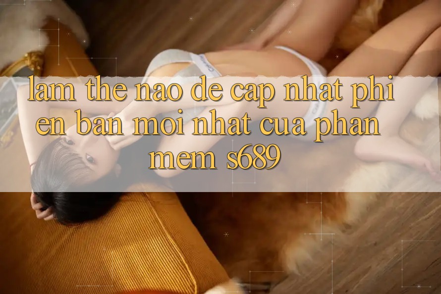 Làm thế nào để cập nhật phiên bản mới nhất của phần mềm s689? Làm thế nào để cập nhật phiên bản mới nhất của phần mềm s689?