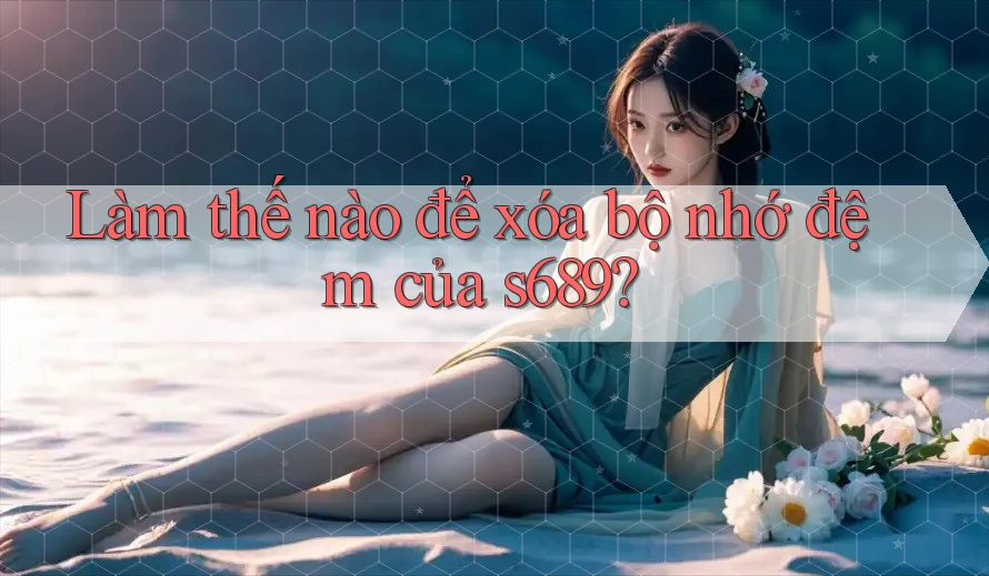 Làm thế nào để xóa bộ nhớ đệm của s689? Làm thế nào để xóa bộ nhớ đệm của s689?
