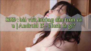 S689 bài viết hướng dẫn toàn cầu Android 15   flush là gì