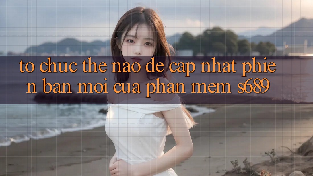 Tổ chức thế nào để cập nhật phiên bản mới của phần mềm s689?