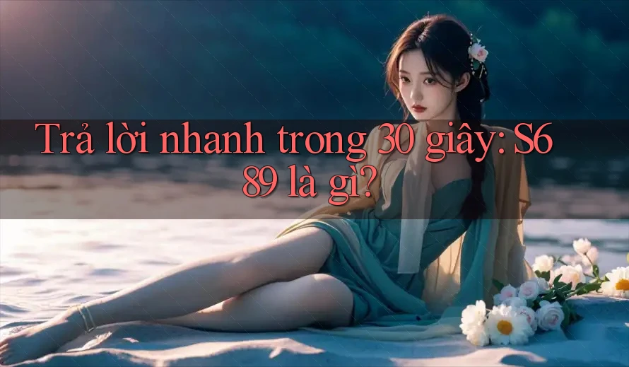 Trả lời nhanh trong 30 giây: s689 là gì?
